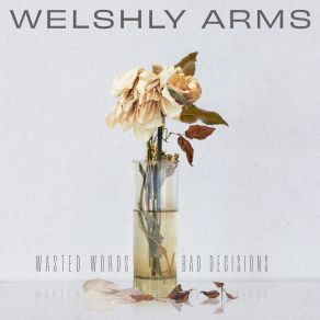 Download track Are You Lonely- Welshly Arms