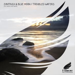 Download track Troubled Waters (Original Mix) Blue Moon, Syntouch