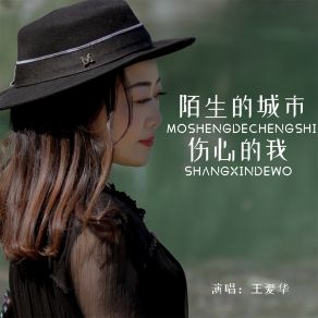 Download track 陌生的城市伤心的我 王爱华