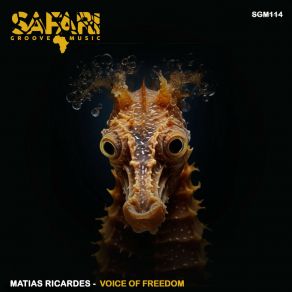 Download track Watch Out (Original Mix) Matias Ricardes