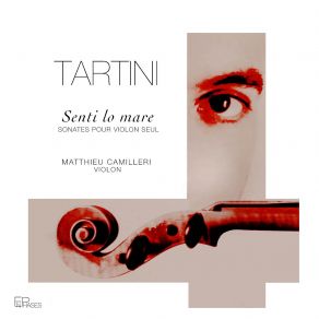 Download track Sonata No. 22 In A Minor: II. Allegro 