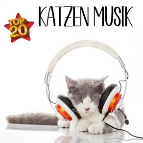 Download track Einschlafmusik Für Katzen Mit Starker Wirkung Entspannung Für Katzen