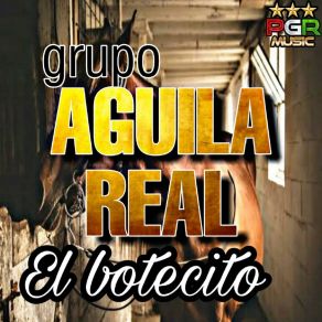 Download track Hoy Que Estas Conmigo Grupo Aguila Real