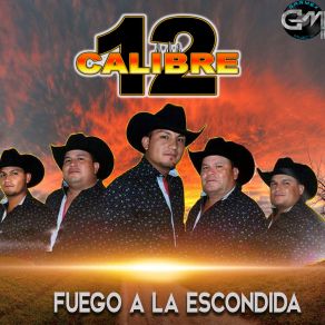 Download track El Gallero De La Laguna Calibre 12