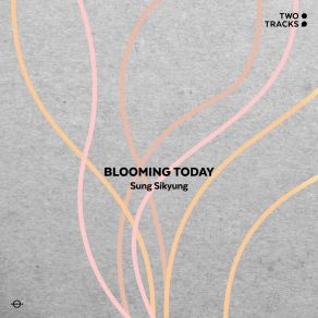 Download track Blooming Today Sung Si Kyung