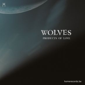 Download track Slow City The Wolves