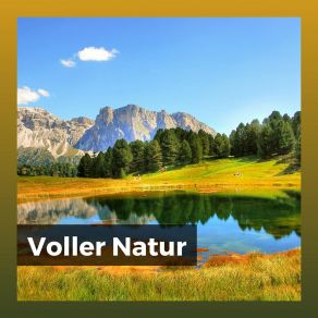 Download track Finde Frieden Am Wasserfall Naturgeräusche Meditationsmusik