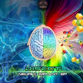 Download track The Brain Disect