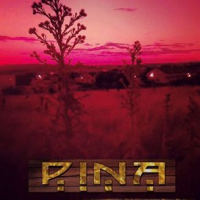 Download track Dame Color P. I. N. A.