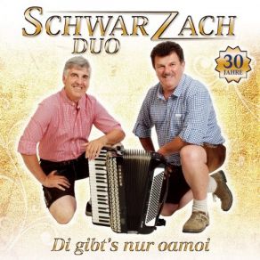 Download track Diandl-Zeit Schwarzach Duo