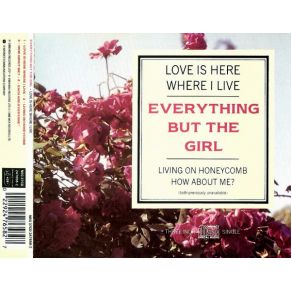 Download track Love Is Here Where I Live Everything But The Girl