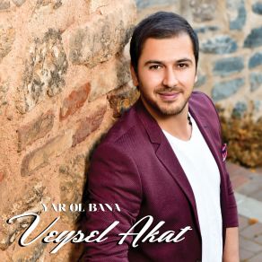 Download track Yar Ol Bana Veysel Akat