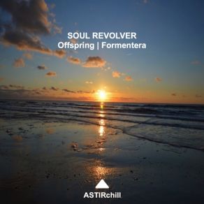 Download track Offspring (Original Mix) Soul Revolver