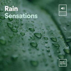 Download track Impavid Rain Always Raining