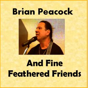 Download track A Mystery To Me Brian PeacockLee Polmear