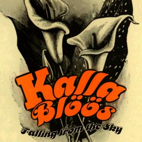 Download track The Fool Kallablöös