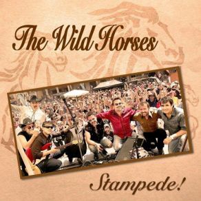 Download track Slow Turning The Wild Horses