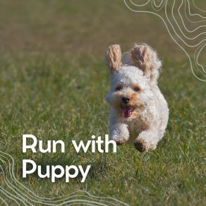 Download track Keeping A Doggo's Stress Away Music For Calming Dogs