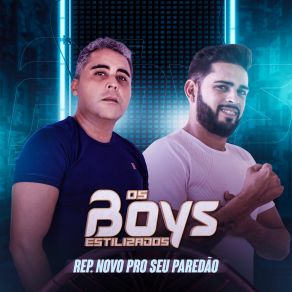 Download track Talvez Seja Amor (Ao Vivo) Os Boys EstilizadosDany Melody