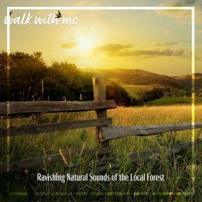 Download track Ravishing Natural Sounds Of The Local Forest, Pt. 2 Daniel Dodik