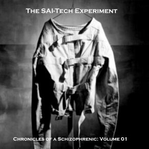 Download track Playing The Recorder Through My Galactic B-Hole The SAI-Tech Experiment