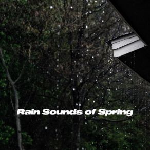 Download track Deep Sleep Rain Showers Sonics Of Sleep