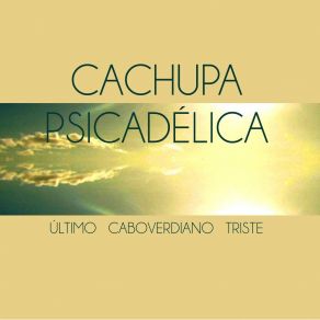 Download track Amor D'1 Laranjeira Cachupa Psicadelica