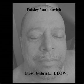 Download track Mary Ann's Faithfull Paisley Yankolovich