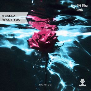 Download track Want You (GFE Ultra Remix) ScallaGFE Ultra