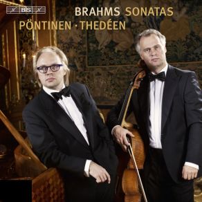 Download track 2. Sonata No. 1 In E Minor Op. 38 - II. Allegretto Quasi Menuetto Johannes Brahms