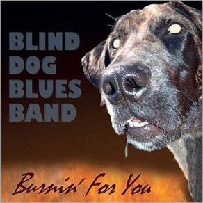 Download track Gravy On My Biscuits Blind Dog Blues Band