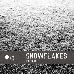 Download track Ruhelose Stille SnowflakesPhasenmensch