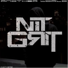 Download track NiT GriT Album Mixtape (Original Mix) NiT GriT