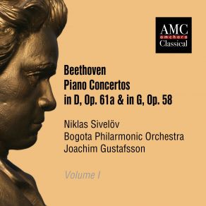 Download track Piano Concerto In D Major, Op. 61a: I. Allegro Ma Non Troppo Niklas Sivelov, Joachim Gustafsson, Bogota Philharmonic Orchestra