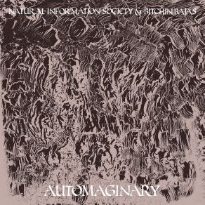 Download track Automaginary Bitchin Bajas, Natural Information Society