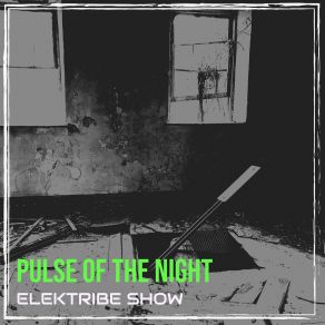 Download track Electric Flow ELEKTRIBE SHOW