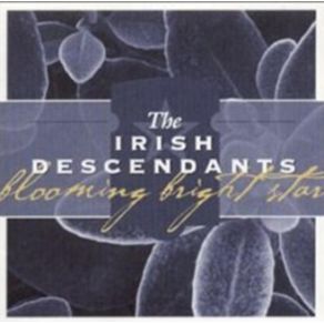 Download track She Moved Through The Fair The Irish Descendants