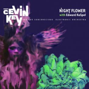 Download track Night Flower CEvin Key