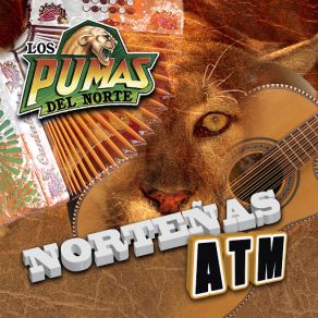 Download track Mujer Traicionera Los Pumas Del Norte