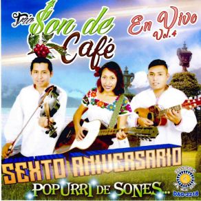 Download track Pavido Navido Trio Son De Cafe