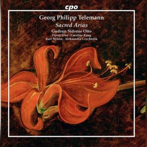 Download track Am 19. Sonntage Nach Trinitatis, TWV 11700a Todesangst Und Höllenschrecken Georg Philipp Telemann, David Erler, Gudrun Sidonie Otto, Karl Nyhlin, Aleksandra Grychtolik, Caroline Klang