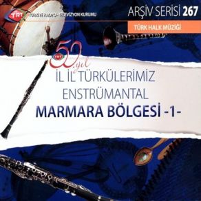 Download track Pınar Baştan Bulanır (Rinna Yarim) (Enst.) TRT Saz Sanatçıları