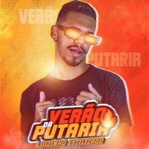 Download track Passinho De Verão (Watch Me Remix) Luizinho Estilizado