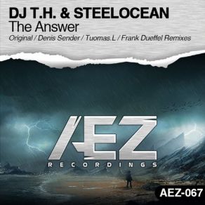 Download track The Answer (Frank Dueffel Remix) Dj T. H., Steelocean