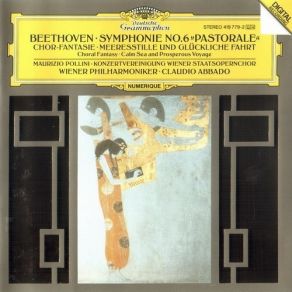 Download track 13. Choral Fantasy In C Minor Op. 80 - Presto Ludwig Van Beethoven