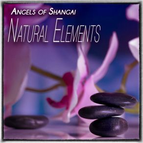 Download track Making Waves (Original Mix) Angels Of Shangai