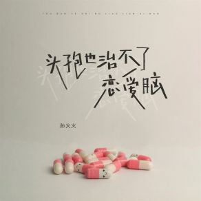 Download track 头孢也治不了恋爱脑 孙火火