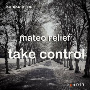 Download track Take Control Mateo Relief