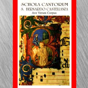 Download track Resta Con Noi Signor Schola Cantorum S. Bernardo