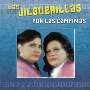 Download track Desengáñame (Dime Mujer) Las Jilguerillas